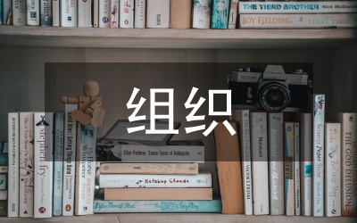 組織工作匯報(bào)
