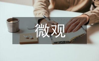 宏觀調(diào)控與微觀調(diào)控