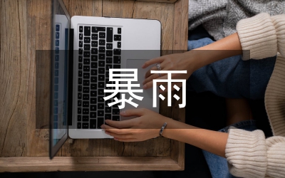 片區(qū)暴雨強度及雨型分析