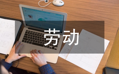 勞動實踐內(nèi)容及過程
