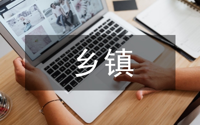 鄉(xiāng)鎮(zhèn)兩基復查工作自查報告