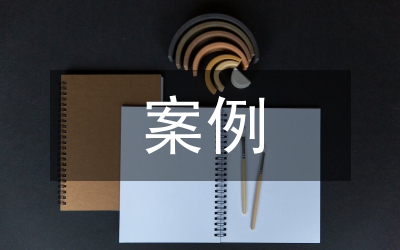 管理信息系統(tǒng)案例