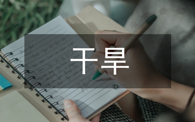 干旱災(zāi)害風(fēng)險(xiǎn)的防治策略