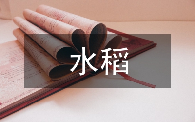 水稻種子技術(shù)處理工作意見